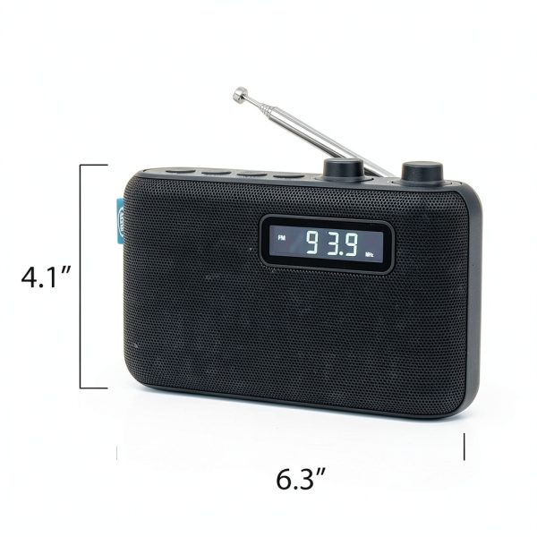 Spectra Merchandising AM/FM Clock Radio-5