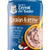 Gerber Whole Grain Baby Cereal 9g Whole Grains-0