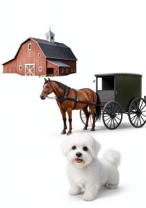 Ettie Smith Amish Mystery Book 7 Kindle Edition Cozy Crime Thriller-0